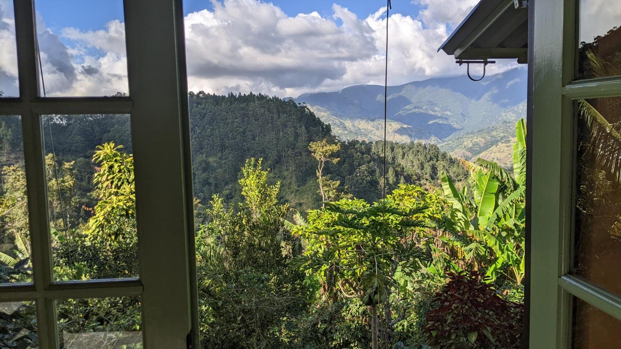 Lime Tree Farm, Blue Mountains Villa Mavis Bank Eksteriør bilde